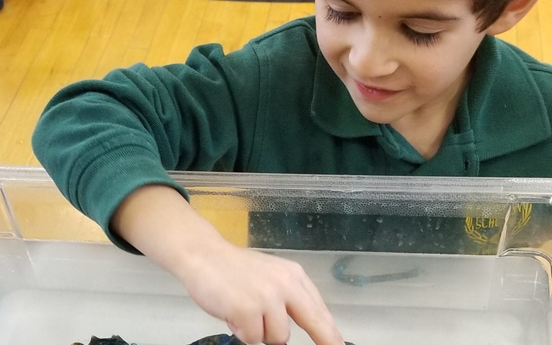 Aquarium of Niagara Visit