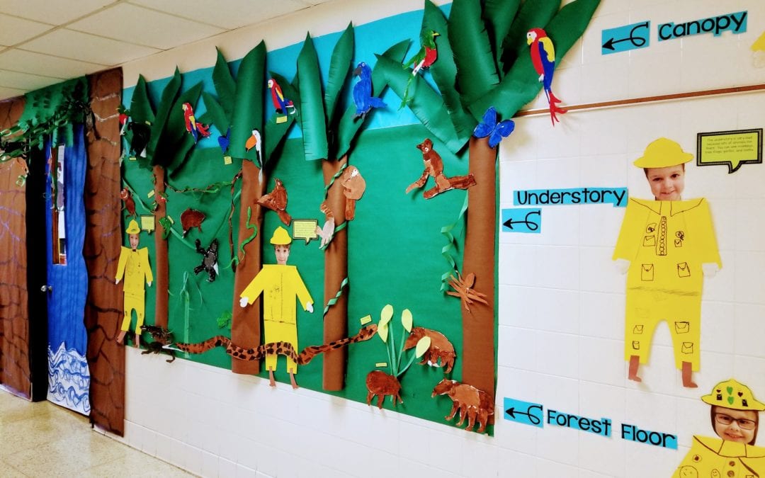 Entering the Rainforest!